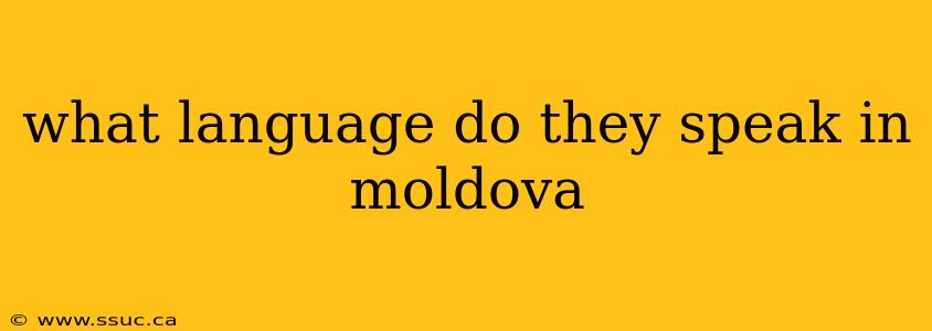 what language do they speak in moldova
