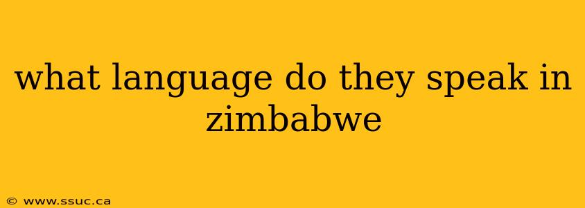 what language do they speak in zimbabwe