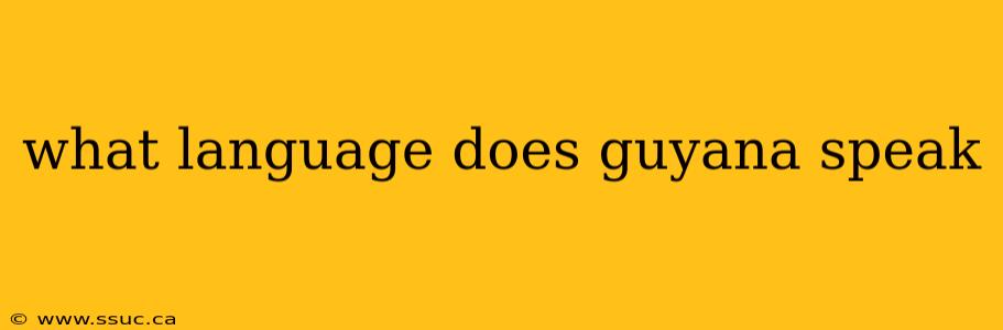 what language does guyana speak