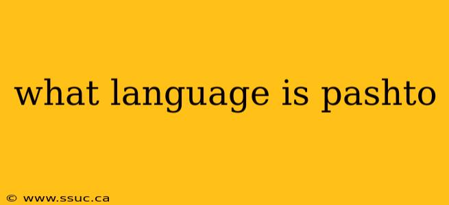 what language is pashto
