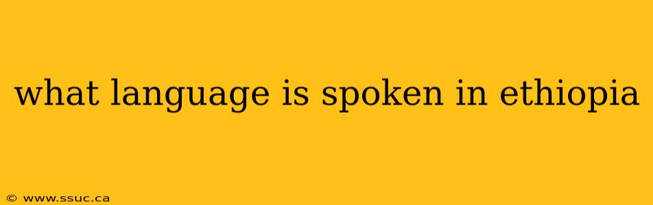 what language is spoken in ethiopia