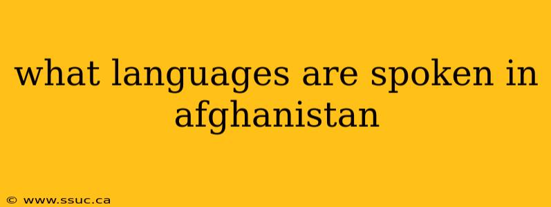 what languages are spoken in afghanistan