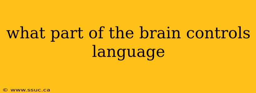 what part of the brain controls language