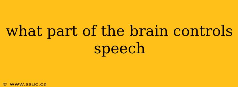 what part of the brain controls speech