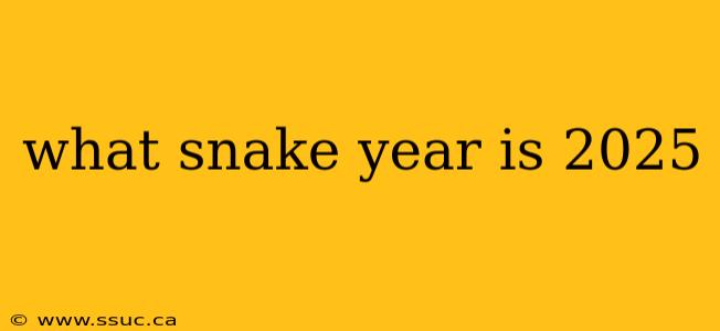 what snake year is 2025
