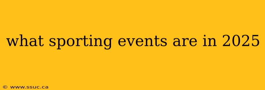 what sporting events are in 2025