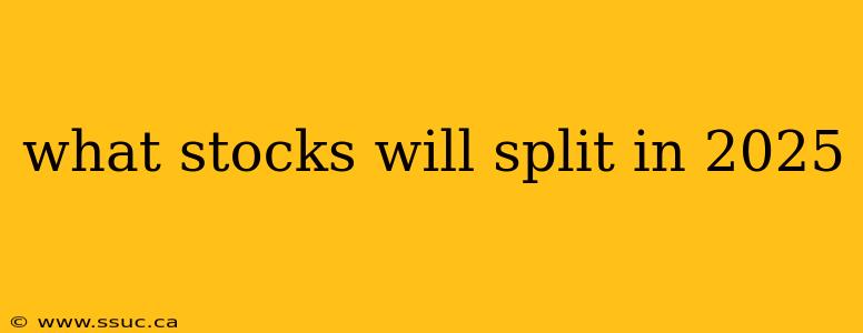 what stocks will split in 2025