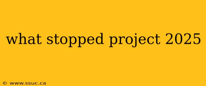 what stopped project 2025