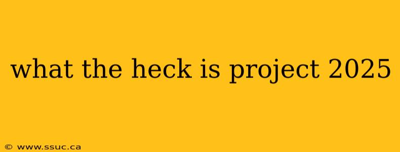 what the heck is project 2025