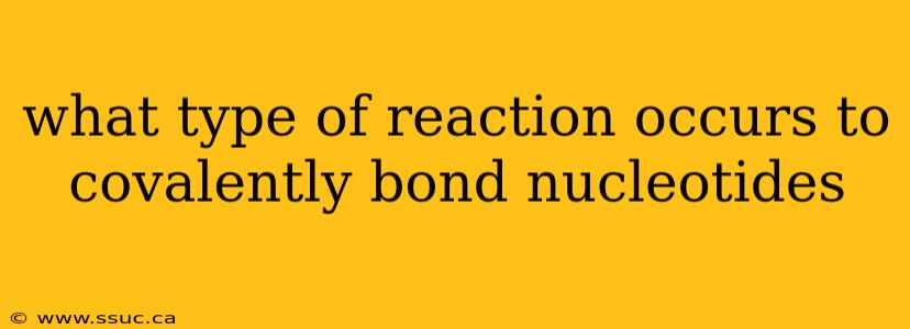 what type of reaction occurs to covalently bond nucleotides