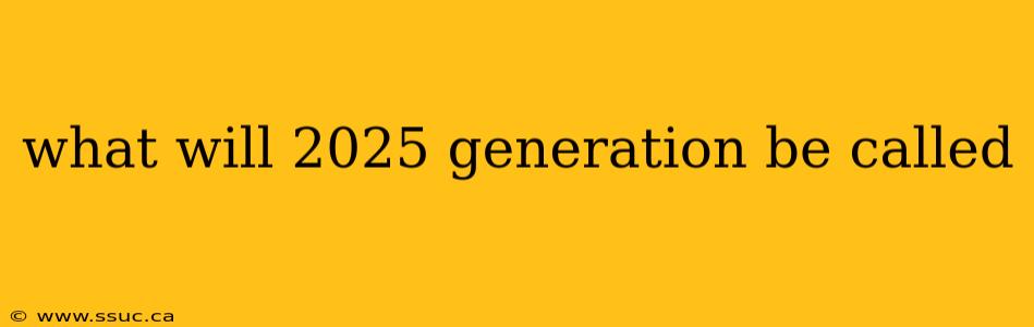 what will 2025 generation be called