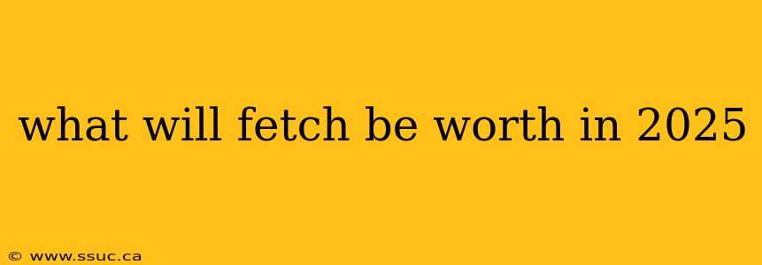 what will fetch be worth in 2025