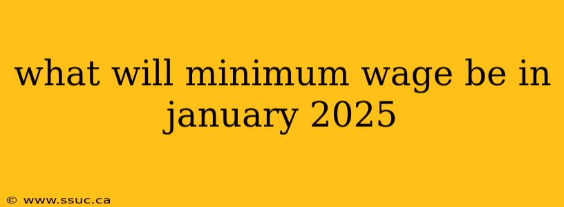 what will minimum wage be in january 2025