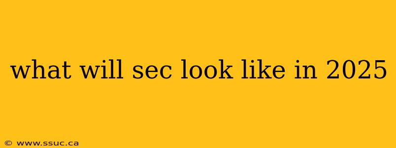 what will sec look like in 2025
