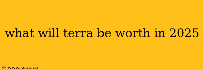 what will terra be worth in 2025