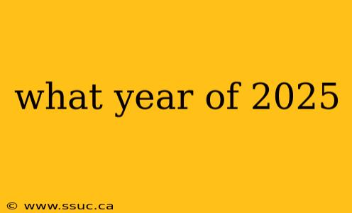 what year of 2025