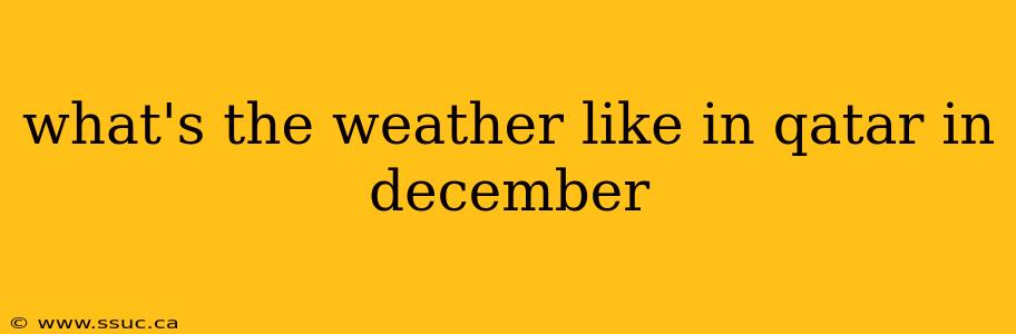 what's the weather like in qatar in december