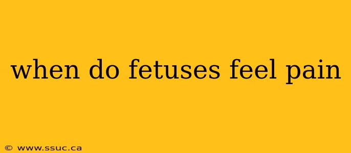 when do fetuses feel pain
