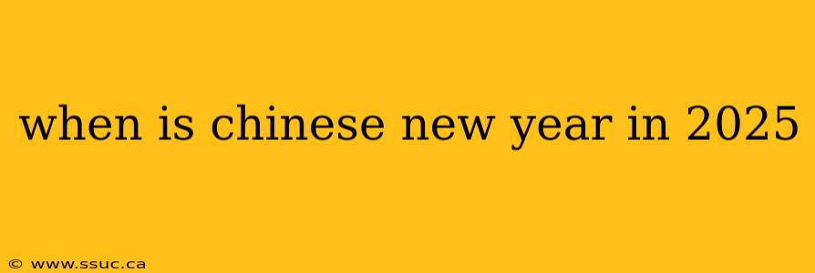 when is chinese new year in 2025