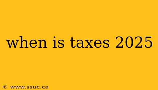 when is taxes 2025