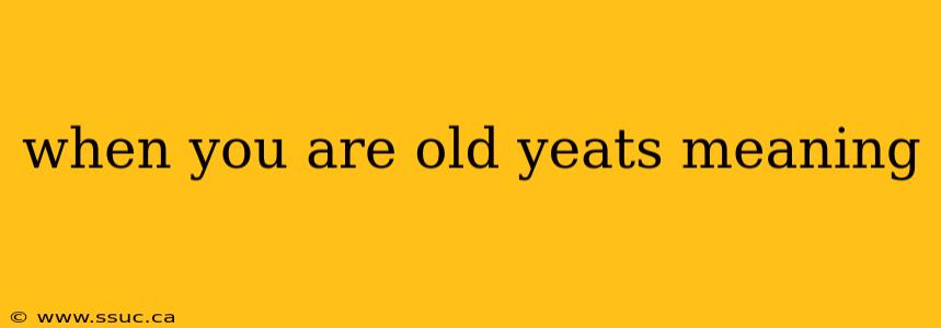 when you are old yeats meaning