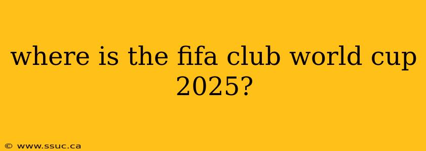 where is the fifa club world cup 2025?