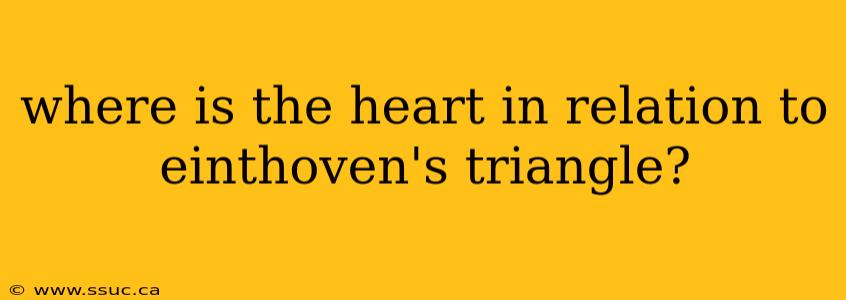 where is the heart in relation to einthoven's triangle?