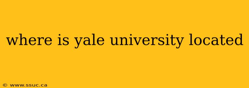where is yale university located