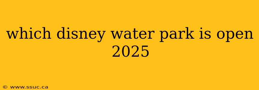 which disney water park is open 2025