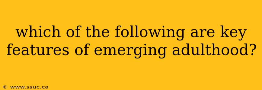 which of the following are key features of emerging adulthood?