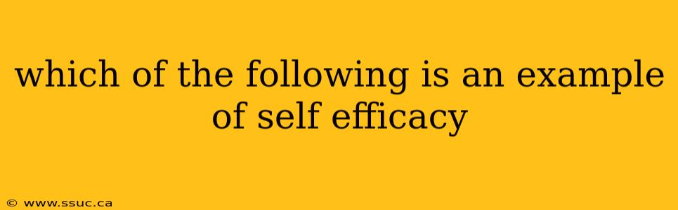 which of the following is an example of self efficacy