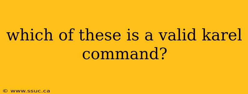 which of these is a valid karel command?