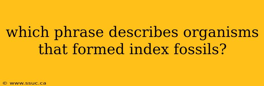 which phrase describes organisms that formed index fossils?