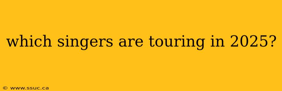 which singers are touring in 2025?