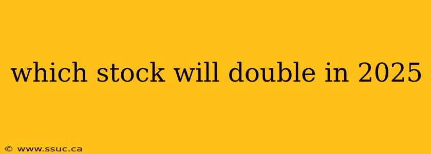 which stock will double in 2025