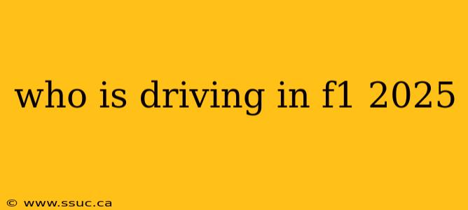 who is driving in f1 2025