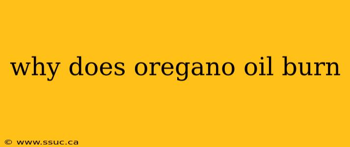 why does oregano oil burn