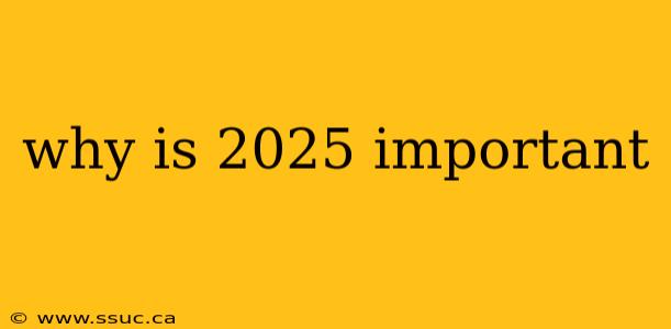why is 2025 important