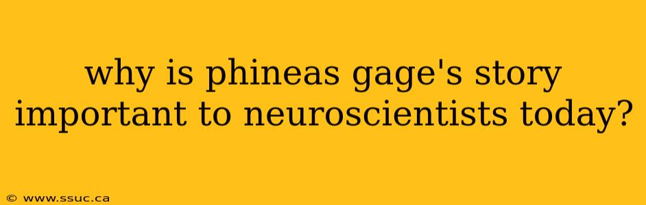 why is phineas gage's story important to neuroscientists today?