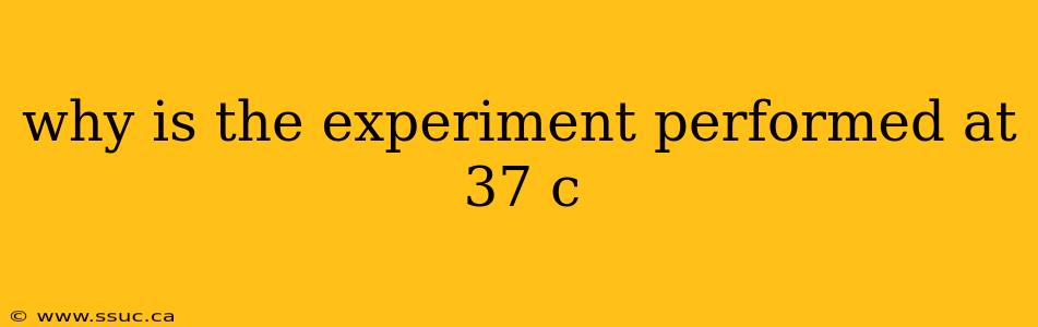 why is the experiment performed at 37 c